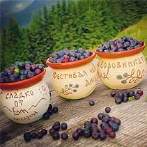 Blueberry Festival Bulgaria 2016